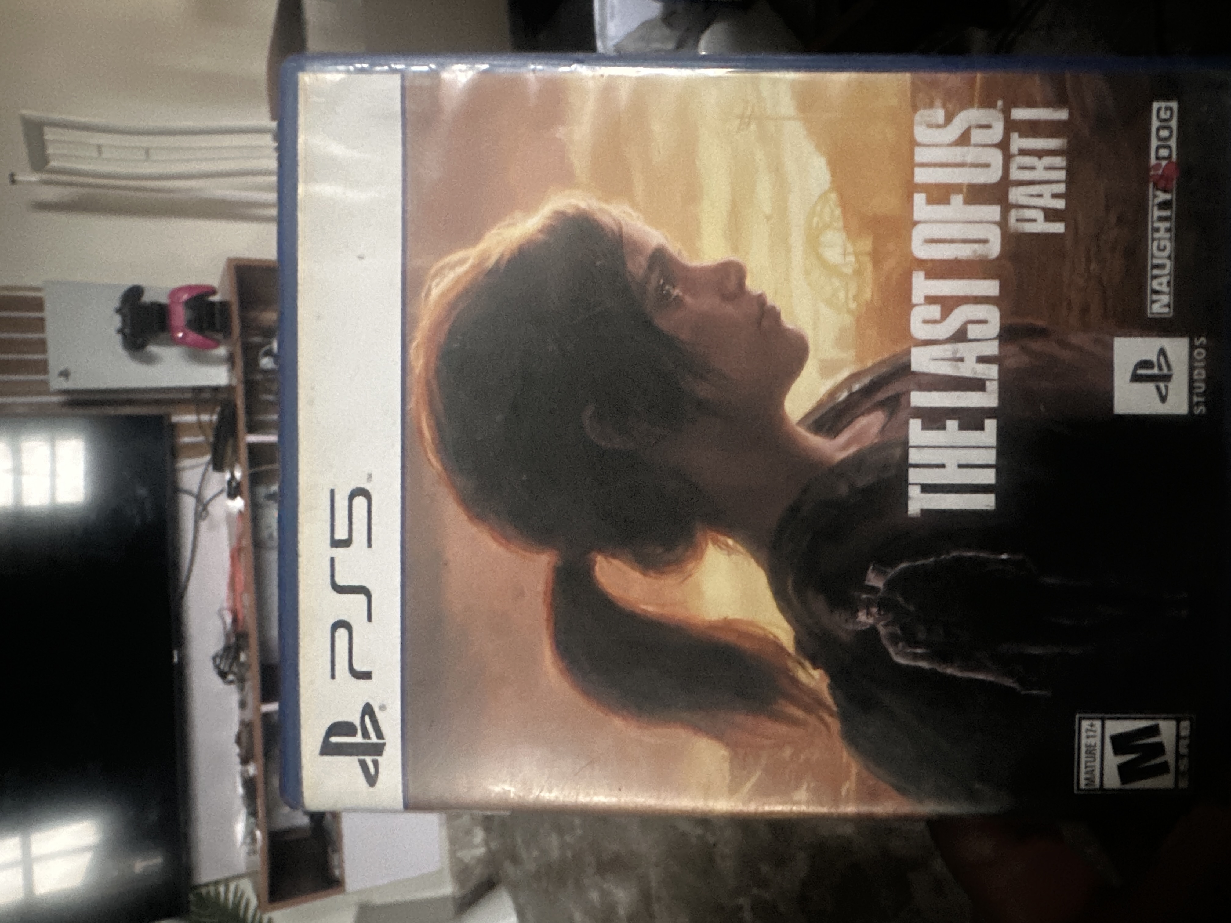 THE LAST OF US 1